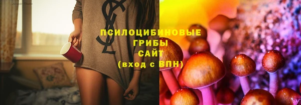 твердый Новодвинск