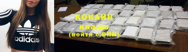 твердый Новодвинск