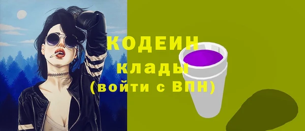 твердый Новодвинск
