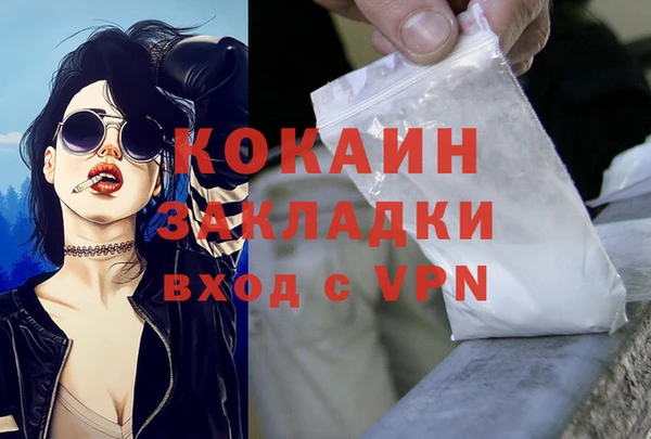 твердый Новодвинск