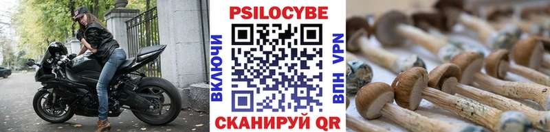 Псилоцибиновые грибы прущие грибы Сосенский