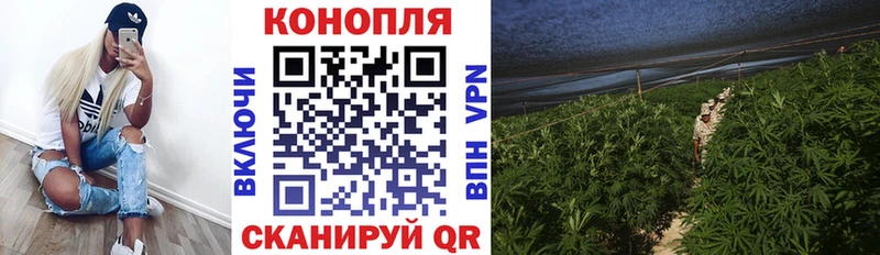 блэк спрут онион  купить закладку  Сосенский  Конопля тримм 